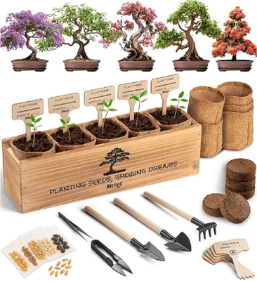 Bonsai Starter Kit - Starter kit with soil, tools, and nursery tree...