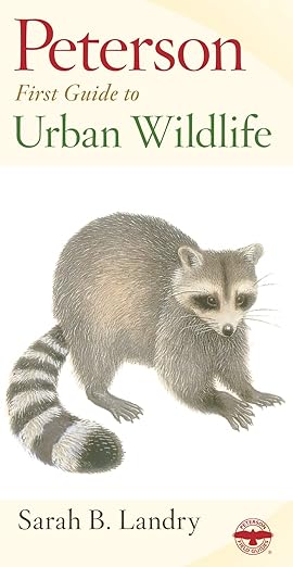 Peterson First Guide To Urban Wildlife: The Beginner's Field Guide to Animals and Plants You're Most Likely to See