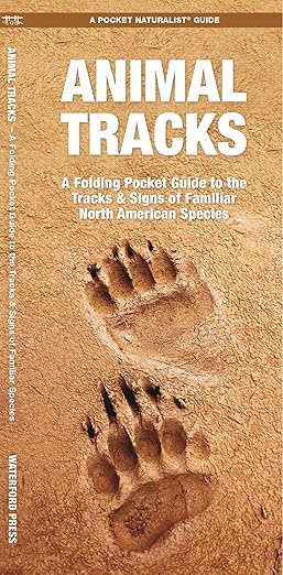 Animal Tracks (Nature Observation North America)