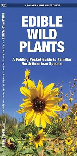 Edible Wild Plants (Nature Observation North America)