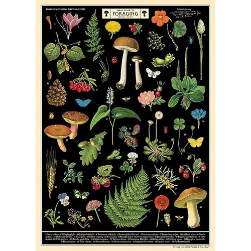 Specialty Foraging Field Guide App with Offline AI Vision