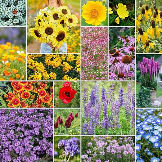Eden Brothers The Bees Knees Wildflower Mixed Seeds for Planting, 1/4 lb, 120,000+ Seeds with Siberian Wallflower, Cosmos | Attracts Pollinators, Plant in Spring or Fall, Zones 3, 4, 5, 6, 7, 8, 9, 10