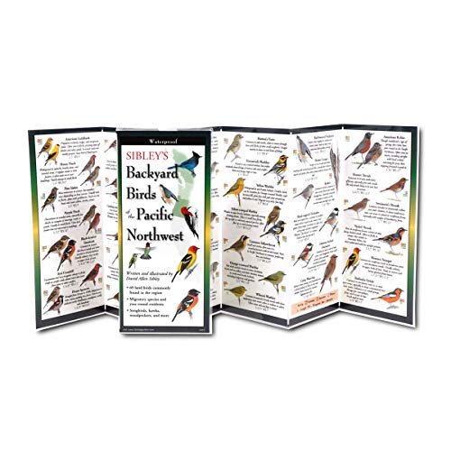 Regional Pocket Field Guide