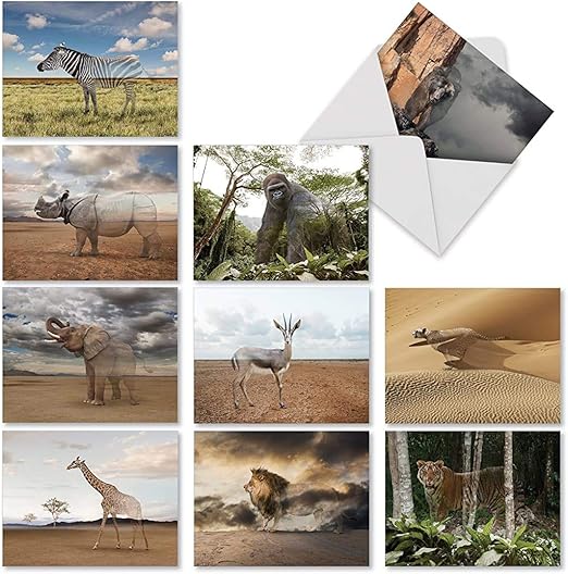 The Best Card Company - 10 Blank Animal Cards Boxed (4 x 5.12 Inch) - Assorted Pets, Zoo, Wildlife Cards for Men and Women - Vanishing Wildlife M1736BN