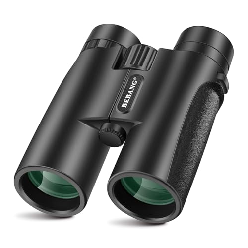 Compact binoculars (8x42 or 10x42)