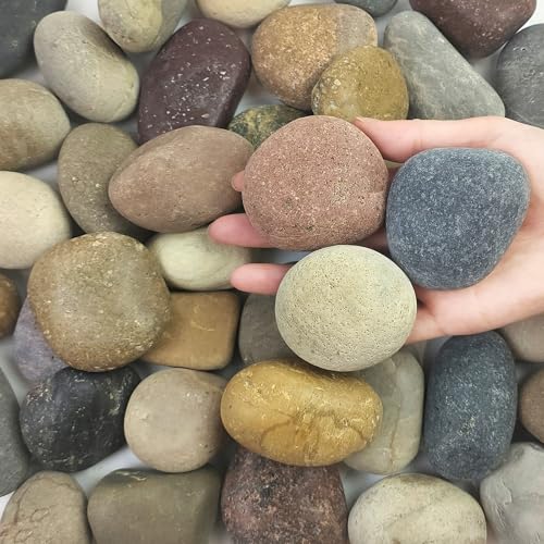 FANTIAN 5 lbs Natural Aquarium Rocks, 2-3 Inch River Rocks for Plant