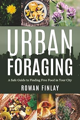Urban Foraging: A Safe Guide to Finding Free Food in Your City